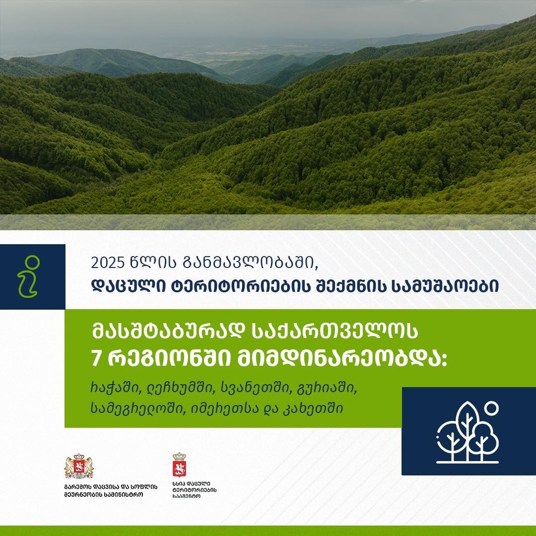 2025 წლის განმავლობაში დაცული ტერიტორიების შექმნის სამუშაოები მასშტაბურად საქართველოს 7 რეგიონში მიმდინარეობდა