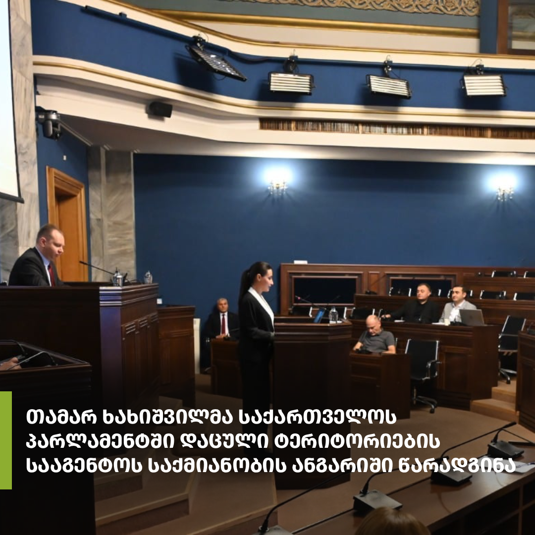 დაცული ტერიტორიების სააგენტოს 2026 წლის საქმიანობის ანგარიში, გარემოს დაცვისა და ბუნებრივი რესურსების კომიტეტის სხდომაზე სააგენტოს თავმჯდომარის მოადგილემ თამარ ხახიშვილმა წარადგინა